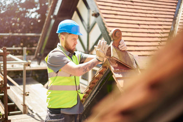 Best Roof Gutter Cleaning  in Rowlett, TX